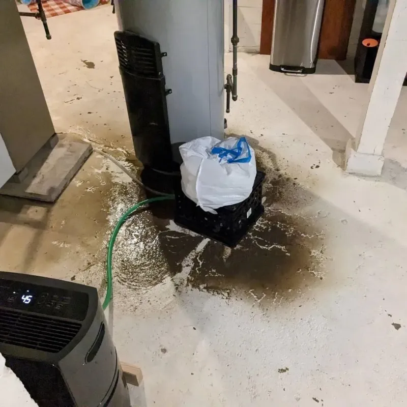 Sewage Backup Cleanup Service in Denver County, CO